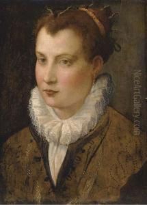Portrait Of A Lady, Bust-length, In A Ruff by Lavinia Fontana