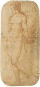 Standing Female Nude, Perhaps Venus Or Andromeda