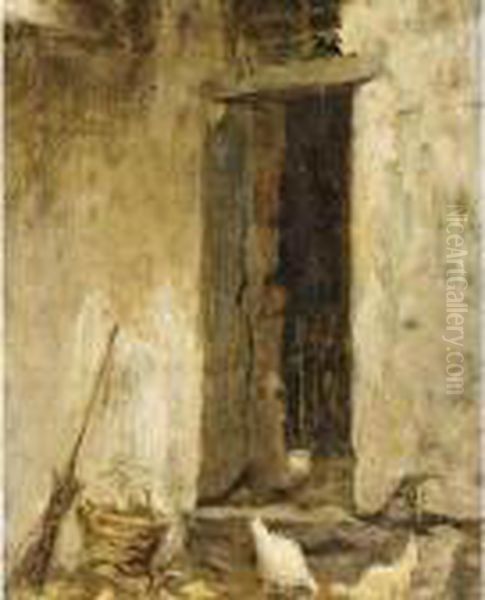 Gallinelle Nel Cortile - view 1
