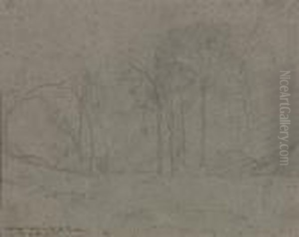 Paesaggio - view 1