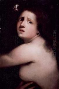 Allegoria N Allegoria N
