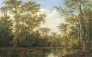 Water Lilies And Spanish Moss