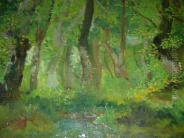 Bosco - view 1