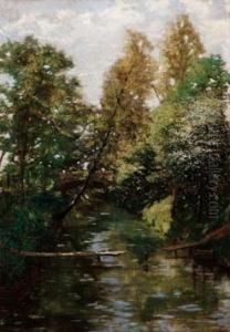 Riflessi by Achille Formis Befani