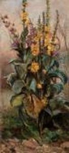 Fiori by Achille Formis Befani