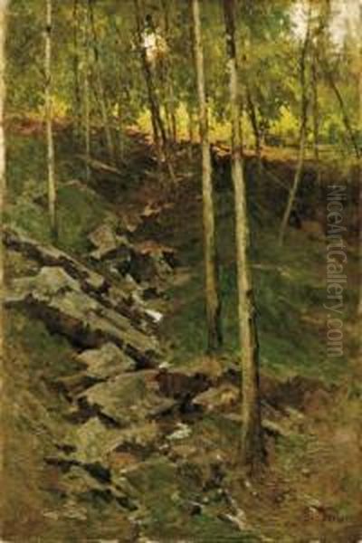 Nel Bosco - view 1