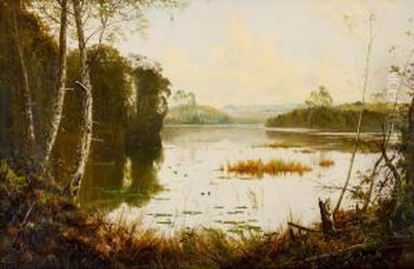 Untitled (view Of Lake St Clair, Tasmania) - view 1
