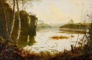 Untitled (view Of Lake St Clair, Tasmania)