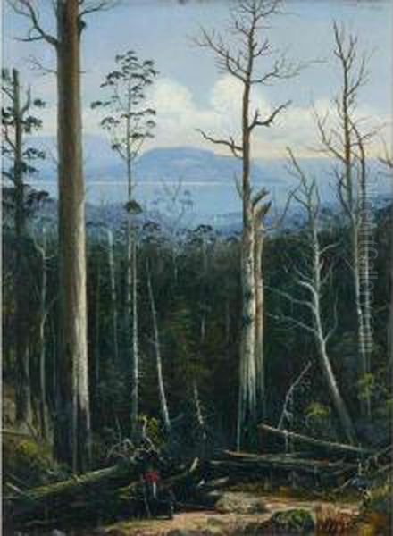 Tasmanian View - view 1