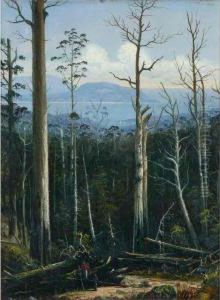 Tasmanian View