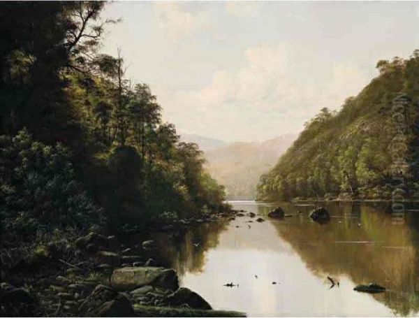 Forest Landscape With River Valley - view 1