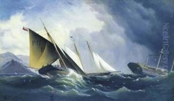 Shipwreck Off A Steep Coast - view 1