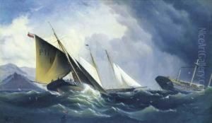 Shipwreck Off A Steep Coast