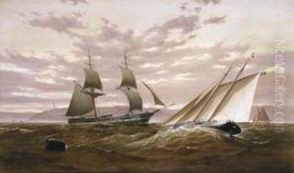 Top Sail Schooner And Sailing Yacht - view 1