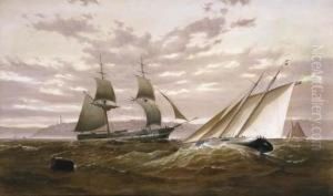 Top Sail Schooner And Sailing Yacht