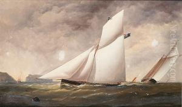 The Legendary Racing Cutter "arrow" Flying
The Colours Of The Royal Thames Yacht Club - view 1