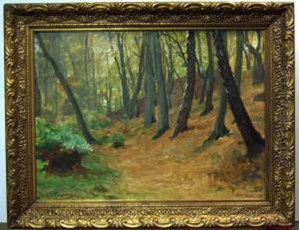 "palsjoskog". ,5. - view 1