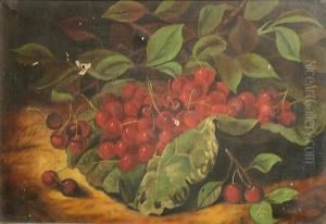 A Still Life With Cherries by George Forster