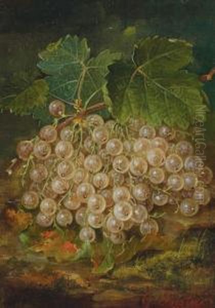 Still Life With White Currants Still Life With Red Currants - view 1