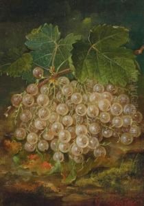 Still Life With White Currants Still Life With Red Currants by George Forster