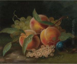 Still Life With Peaches, Plums And Grapes by George Forster