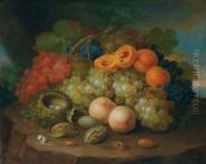 Still Life With Bird's Nest, Figs, Peaches & Grapes by George Forster