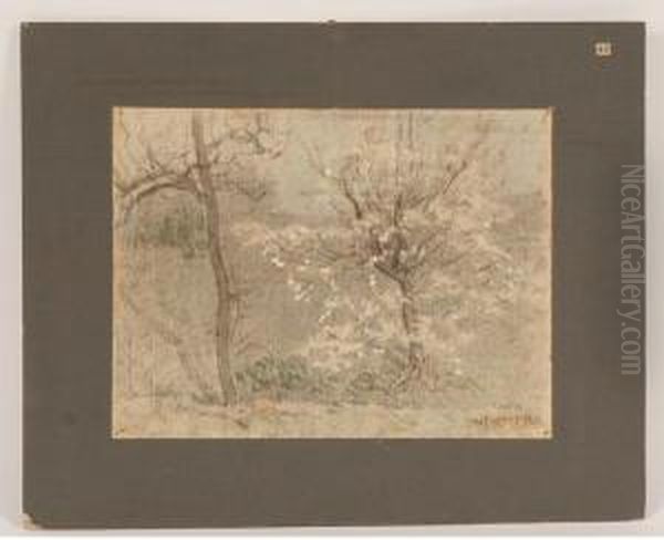 Spring Landscape - view 1