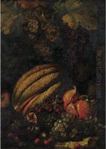Still Life