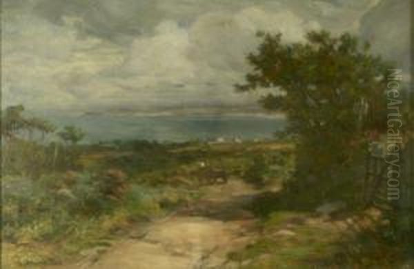 Cart On A Coastal Path - view 1