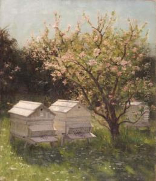 Beehives In An Orchard - view 1