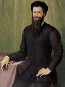 Portrait Of A Gentleman by Pier Francesco Foschi