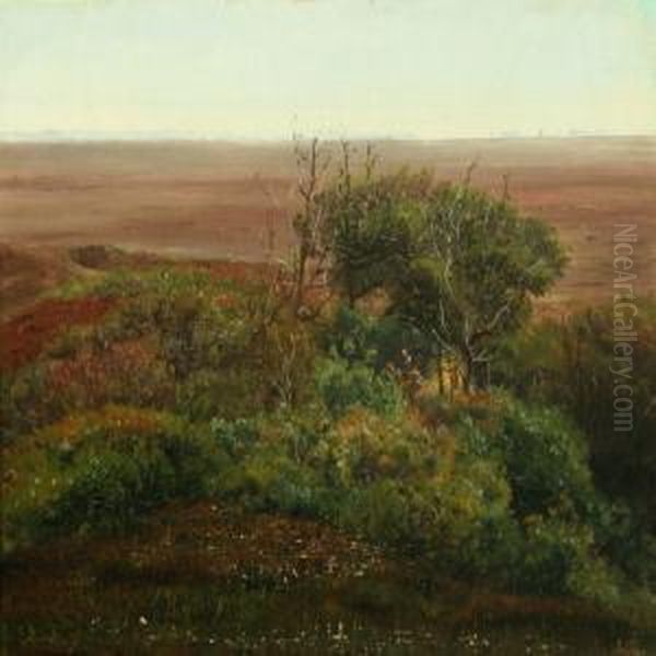 Moor Landscape - view 1