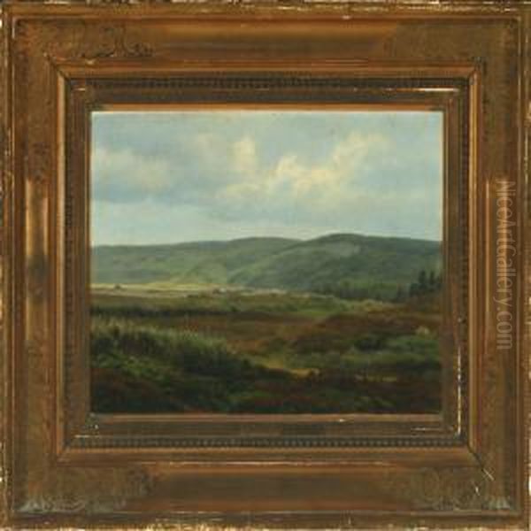 View From Svinklov - view 1