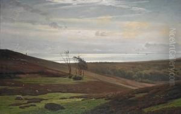 A View At Saeby Forest - view 1