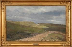 Heather Landscape by Harald Foss
