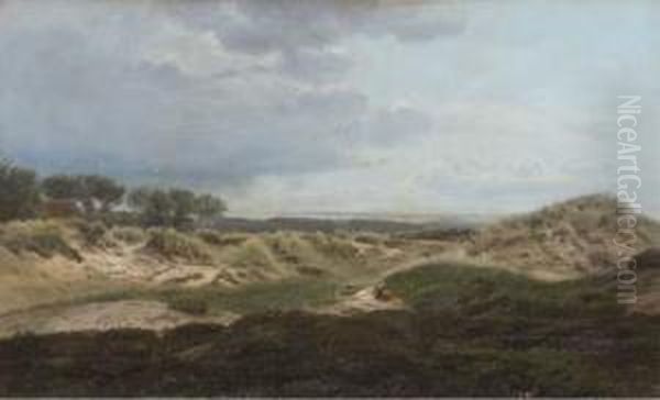 A View From The Dunes - view 1