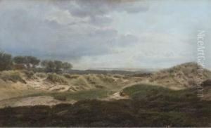 A View From The Dunes by Harald Foss