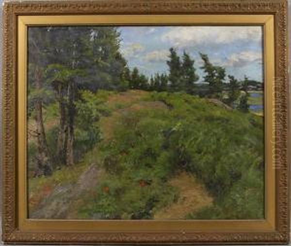 Coastal Hillside Duringsummer - view 1