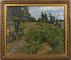 Coastal Hillside Duringsummer