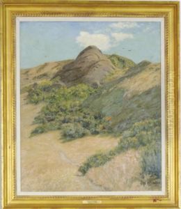 Desert Landscape