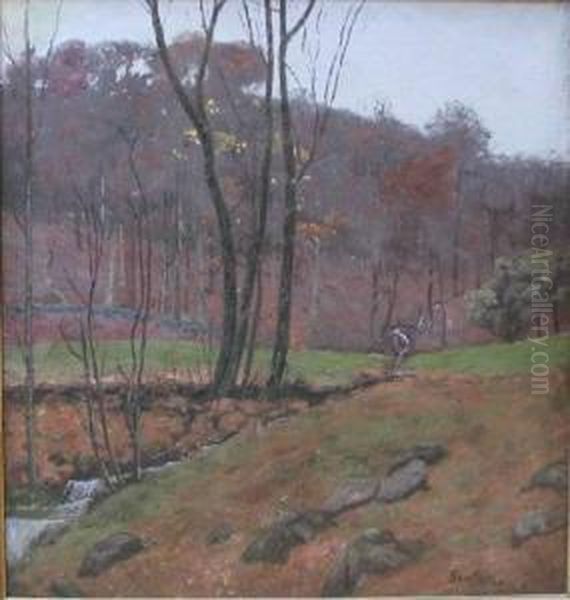 Woodland Stream - view 1