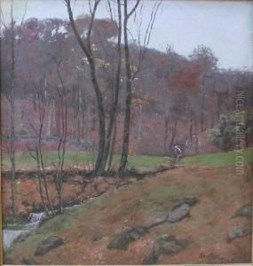 Woodland Stream