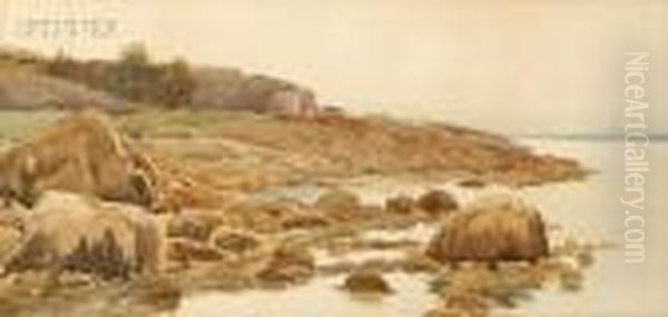 Rocky Coast - view 1