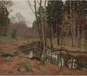 A Creek In The Woods