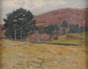 Hillside