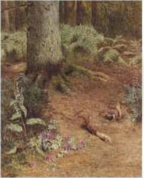 Hungry Squirrels - view 1