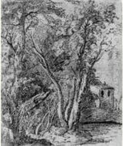 Paysage De Sous-bois Avec Une Maison Paysage De Sous-bois Avec Une Maison