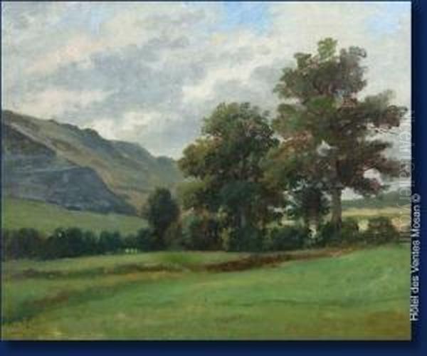 Paysage Arbore - view 1