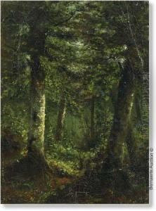 Woodview