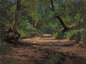 Summer Woodlands by Alexis Fournier